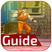 guide for final fight icon