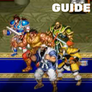 Guide for Warriors Fate APK
