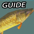 Guide For Fishing Games Free icône
