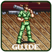 Guide for Hook