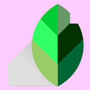 APK Guide for snapseed : Photo editing