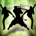 Guide For Shadow Fight 3