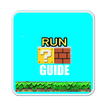 Guide for Super Mario Run Boy