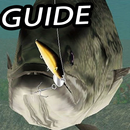 Guide For Real Fishing APK