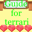 Guide for terraria New