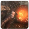 Guide For The Witcher 3