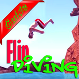 Secret of Flip Diving icône