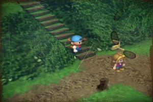 Guide Harvest Moon 2 Screenshot 3