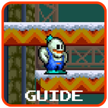 Guide for Snow Bros