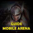 Guide Mobile Arena