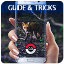 Guide for Pocket Animals GO aplikacja