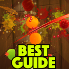 Guide for Fruit ninja 2016 icône