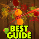 Guide for Fruit ninja 2016 APK