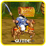 Guide For Warriors of Fate II