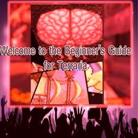 Beginner's Guide for Terraria : new 2017 Affiche