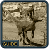 Clue for durango APK