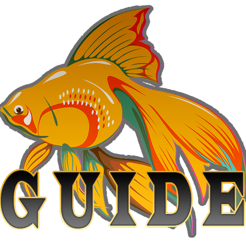 Fish Tycoon 2 Deutsch Fish Tycoon 2 Deutsch