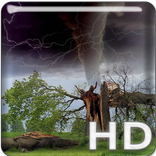 Hurricane Irma Sound