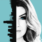 Grey's anatomy icon