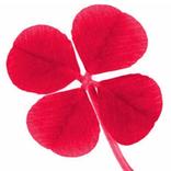 Guitar Jam: Jam with People