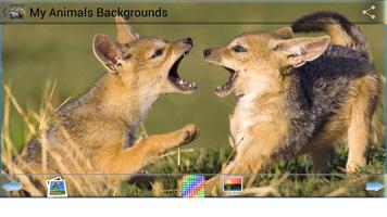 My Animals Backgrounds screenshot 2