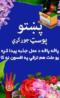 Poster Pashto Text