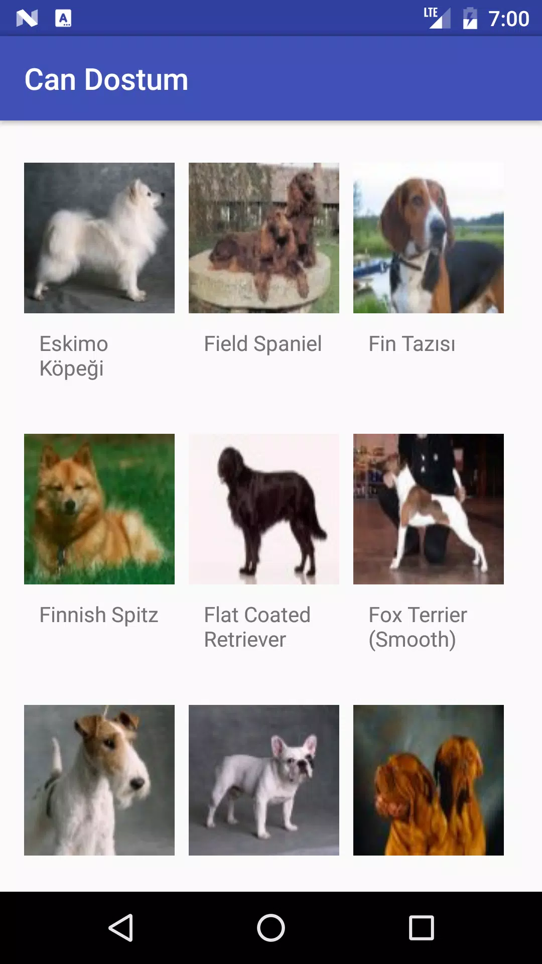 Can Dostum : Köpek cinsleri APK for Android Download