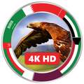 Gulf eagle live wallpapers hd