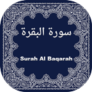 (سورة البقرة) Surah Al Baqarah 16 Lines Colored APK