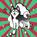 Puppy Husky Hero