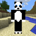 Panda Jungle Run