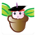 Gumnuts Early Education