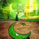 APK Pakistan Independence Day