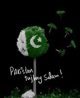 Pakistan Independence Day capture d'écran 1