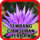 Tembang Cianjuran Terbaik APK