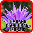 Tembang Cianjuran Terbaik أيقونة