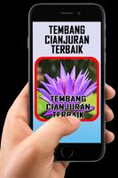 Tembang Cianjuran Terbaik تصوير الشاشة 3