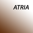 ATRIA Bleeding Risk Score иконка