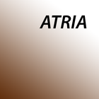 ATRIA Bleeding Risk Score أيقونة