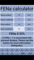 FENa स्क्रीनशॉट 1