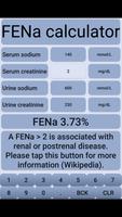 FENa स्क्रीनशॉट 3