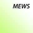 MEWS (Modified Early Warning S