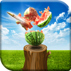 Watermelon game icon