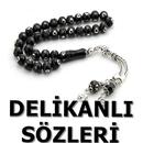 Delikanlı Sözler APK