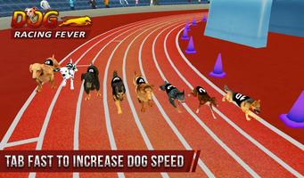 Dog Racing Fever 3D Affiche