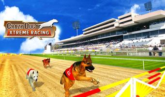 Crazy Dog Xtreme Racing poster