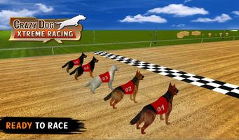 Crazy Dog Xtreme Racing تصوير الشاشة 1