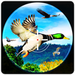 Birds Hunter 2017