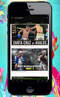 Boxing Highlights Poster