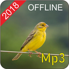 Cantos de Passaros Offline Mp3 иконка